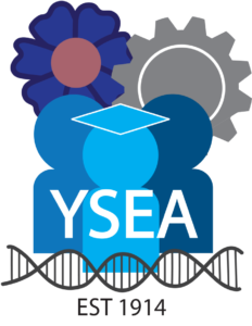 YSEA blue people logo