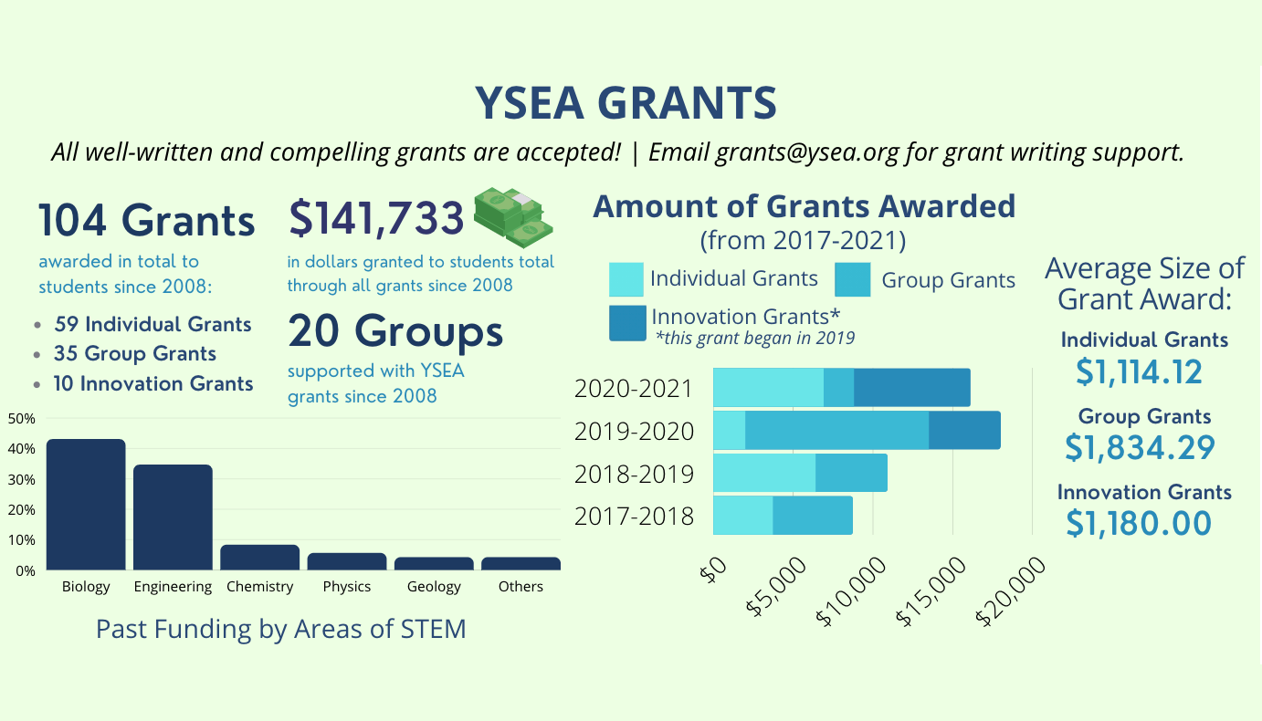 YSEA grants infographic